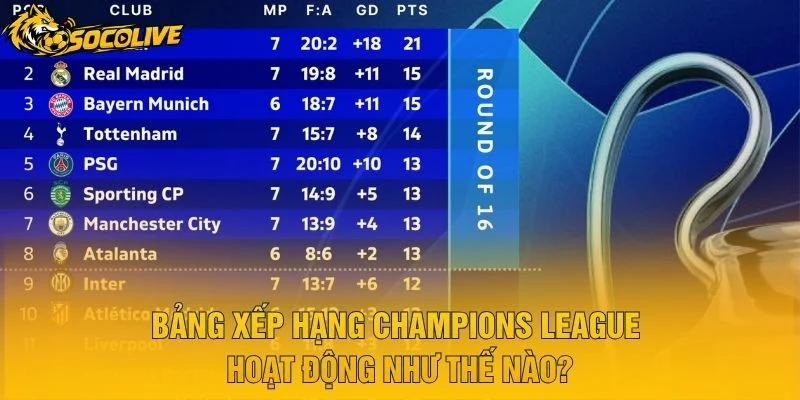 Bảng Xếp Hạng Champions League Hoạt Động Như Thế Nào?