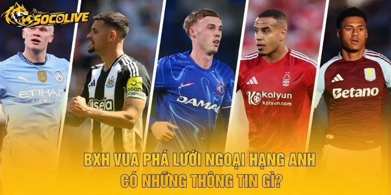 BXH Vua Phá Lưới Ngoại Hạng Anh Có Những Thông Tin Gì?