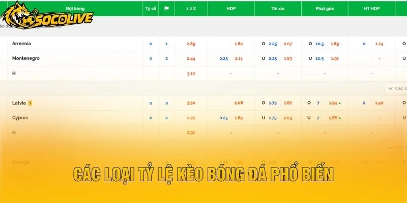 Các Loại Tỷ Lệ Kèo Bóng Đá Phổ Biến