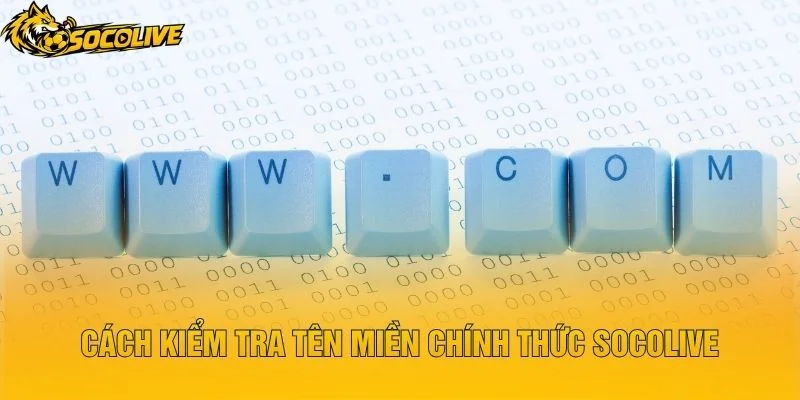 Cách Kiểm Tra Tên Miền Chính Thức Socolive