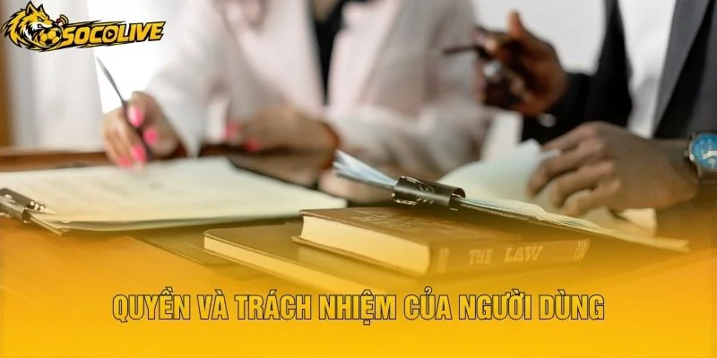 Quyền Và Trách Nhiệm Của Người Dùng