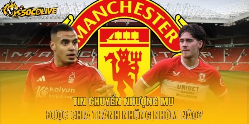 Tin Chuyển Nhượng MU Được Chia Thành Những Nhóm Nào?
