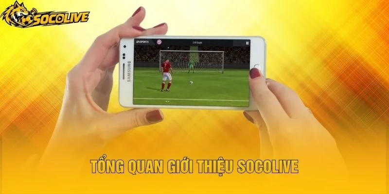 Tổng Quan Giới Thiệu Socolive