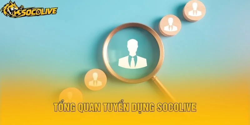 Tổng Quan Tuyển Dụng Socolive