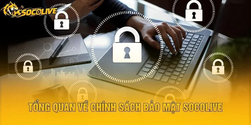 Tổng Quan Về Chính Sách Bảo Mật Socolive