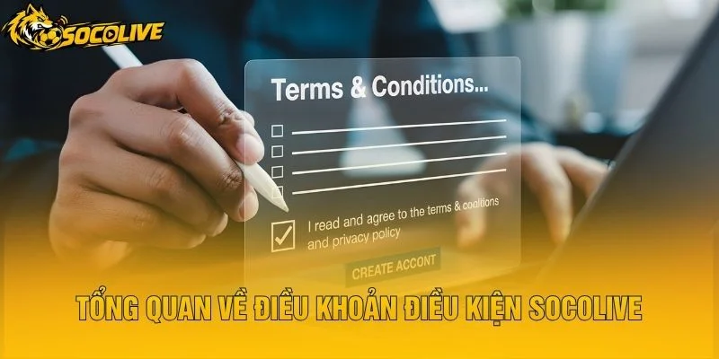 Tổng Quan Về Điều Khoản Điều Kiện Socolive