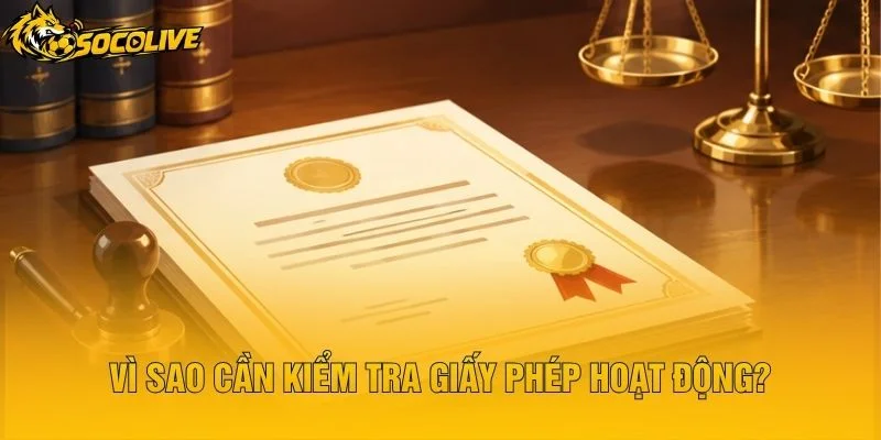 Vì Sao Cần Kiểm Tra Giấy Phép Hoạt Động?