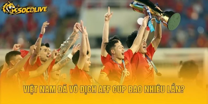 Việt Nam Đã Vô Địch AFF Cup Bao Nhiêu Lần?